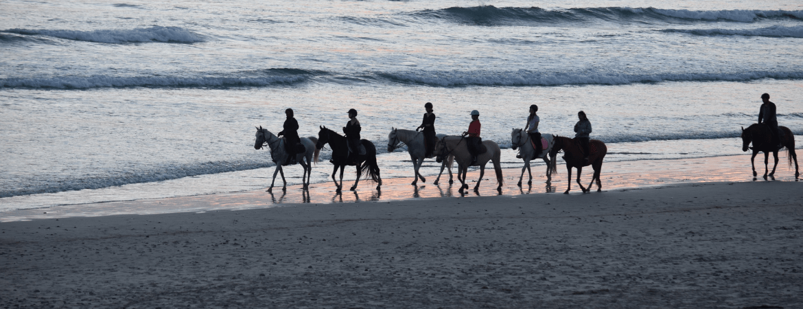 Groupe de cavaliers sur la plage