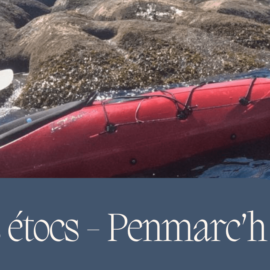 Phoque et kayak aux étocs à Penmarc'h