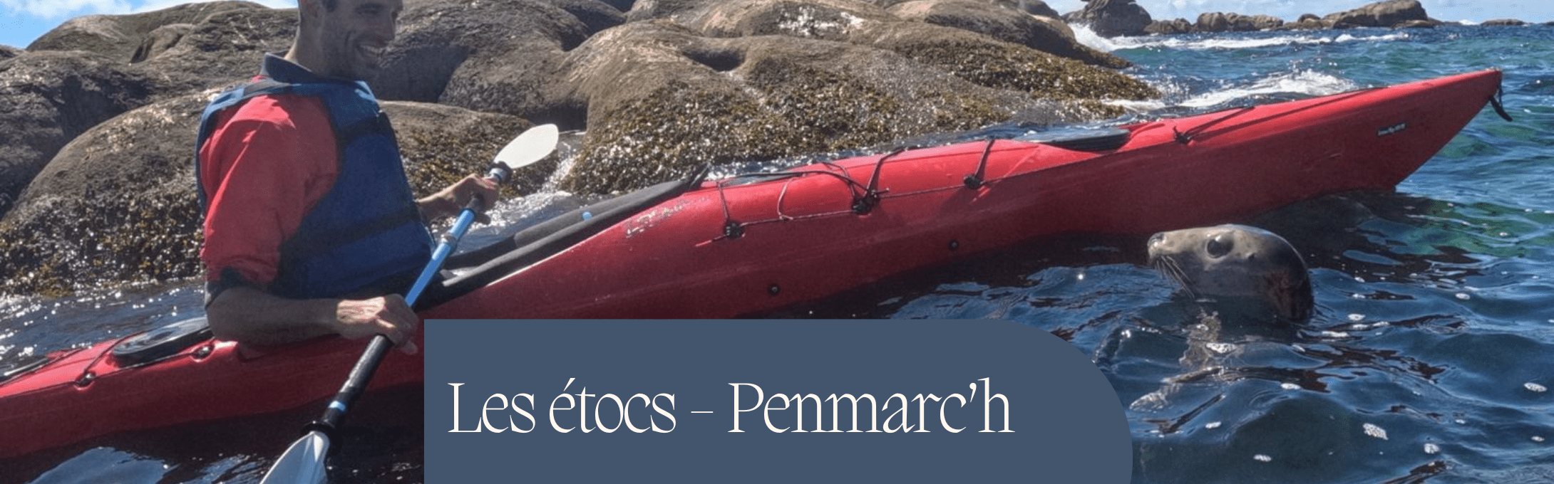 Phoque et kayak aux étocs à Penmarc'h