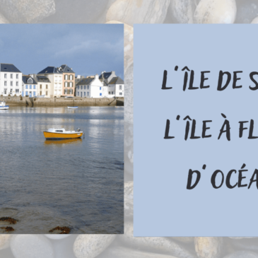 L’île à fleur d’océan : L’ILE DE SEIN