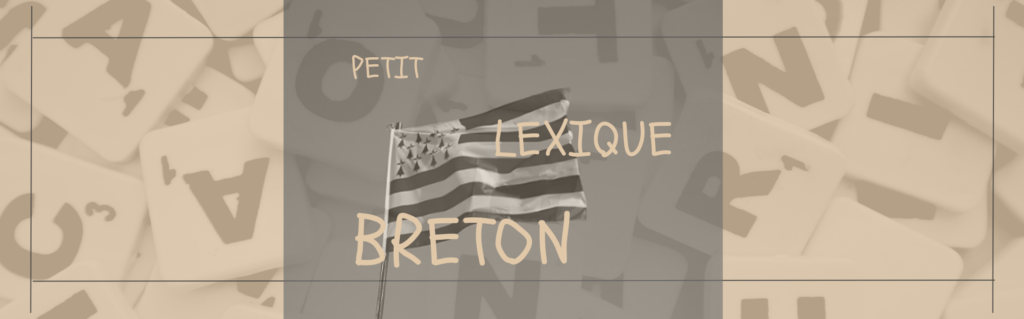 Drapeau breton : gwenn ha du