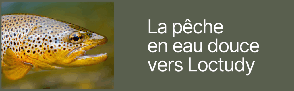 La pêche en eau douce vers Loctudy