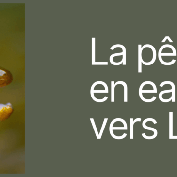 LA PECHE EN EAU DOUCE VERS LOCTUDY